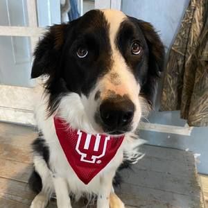 Meet your Posher, Catherine